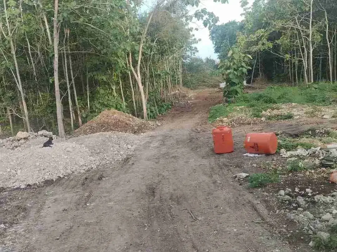 Di jual lahan baru di buka desa kutuh Badung sangat cocok untuk komersil bisa ambil plot kecil - Image 4 of 8