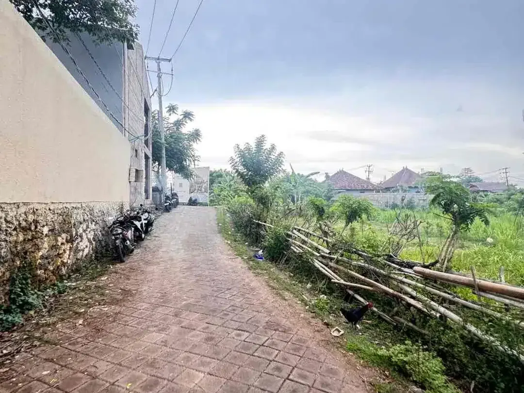 LAND FOR LEASE 2 MINS TO BALANGAN BEACH - Pink Zone - Image 3 of 6