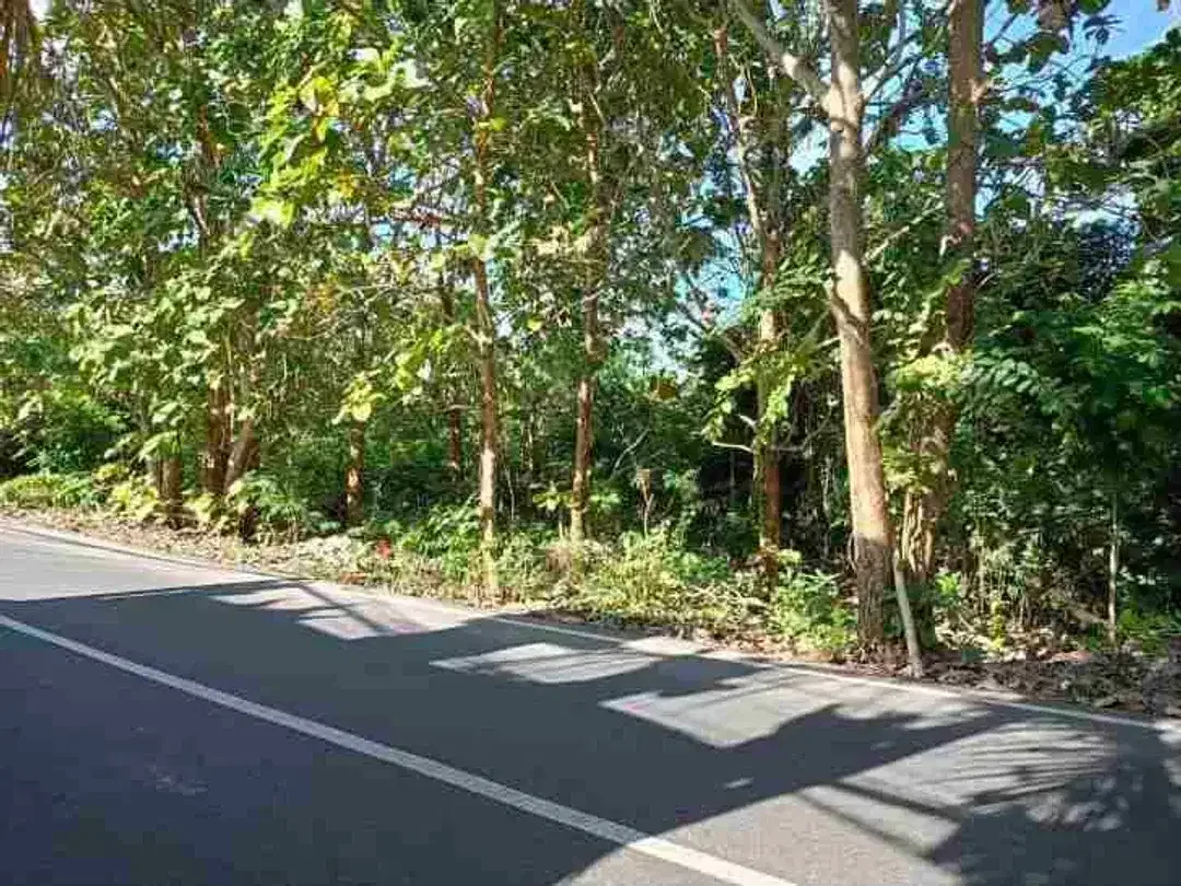 dijual tanah 1 hektar IDR 550 juta per are dekat Savaya pecatu Kuta Selatan Badung Bali - Image 2 of 6