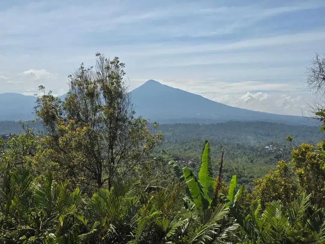 Dijual tanah kebun kopi view gunung dan lembah di bali - Image 2 of 10