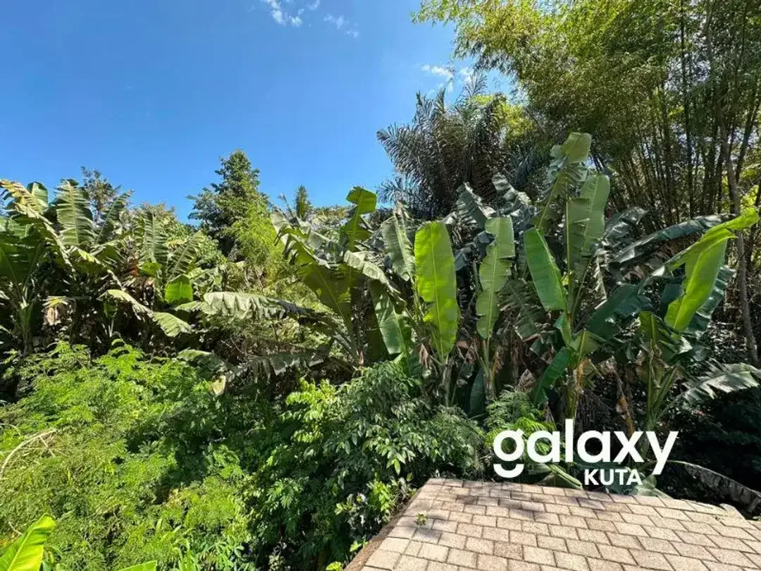 DIJUAL TANAH HOOK JUNGLE VIEW DEKAT KANTO LAMPO DI BENG GIANYAR - Image 3 of 10