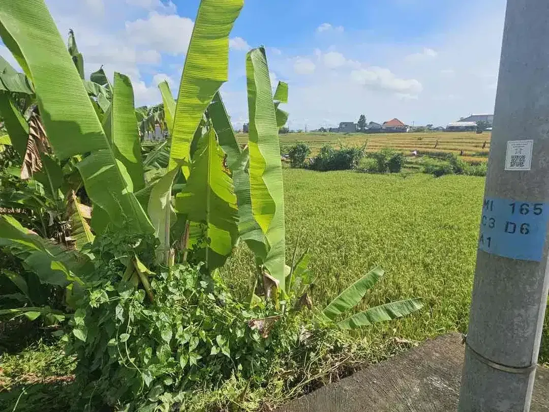 SALE Tanah Hook 310 M² View Sawah Tumbak Bayuh - Image 3 of 8
