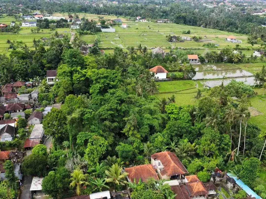 Tanah Murah di Sentral Ubud Dekat Restoran dan Fasilitas Umum - Image 2 of 10
