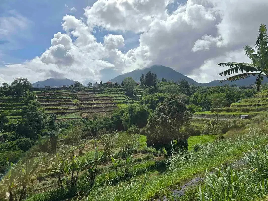 Dijual tanah murah view istimewa gunung lembah dan perkotaan di bedugul bali - Image 5 of 10