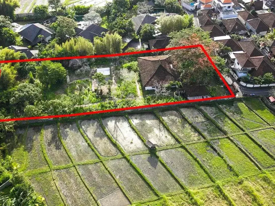 Tanah PREMIUM View Sawah Jl Umalas Kuwum Kerobokan - Image 2 of 10