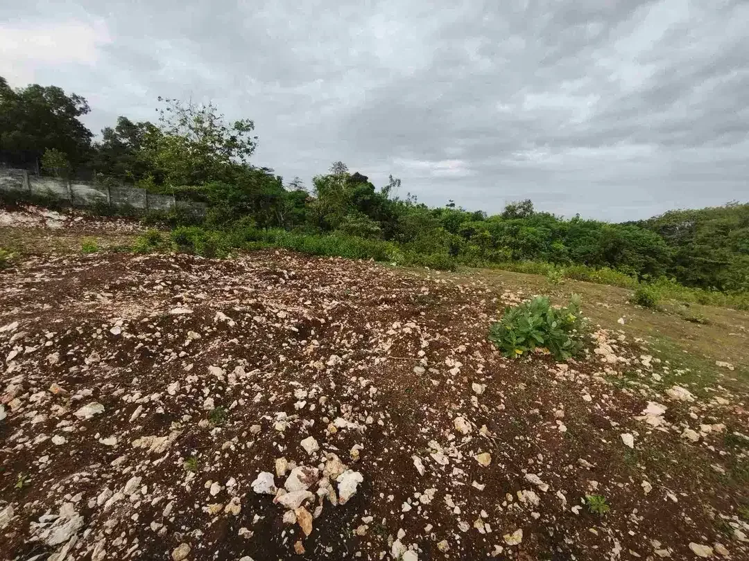 dijual tanah 400m² IDR 650 jutaper are dekat rektorat kampus unud jimbaran - Image 8 of 10