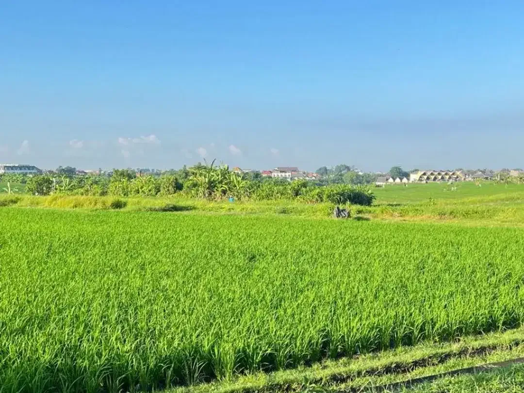 tanah SHM mepet canggu, villa area, view sawah itr kuning - Image 3 of 8