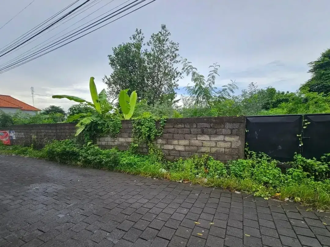 Tanah Munggu Kediri Tabanan - Image 2 of 7