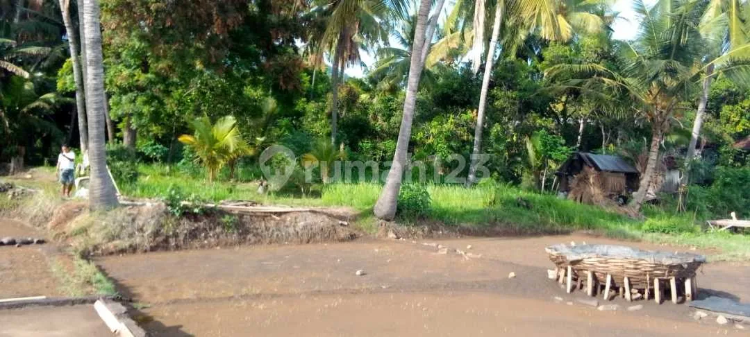 Beachfront Land 20 Are Pinggir Pantai Tejakula Buleleng Bali - Image 4 of 4