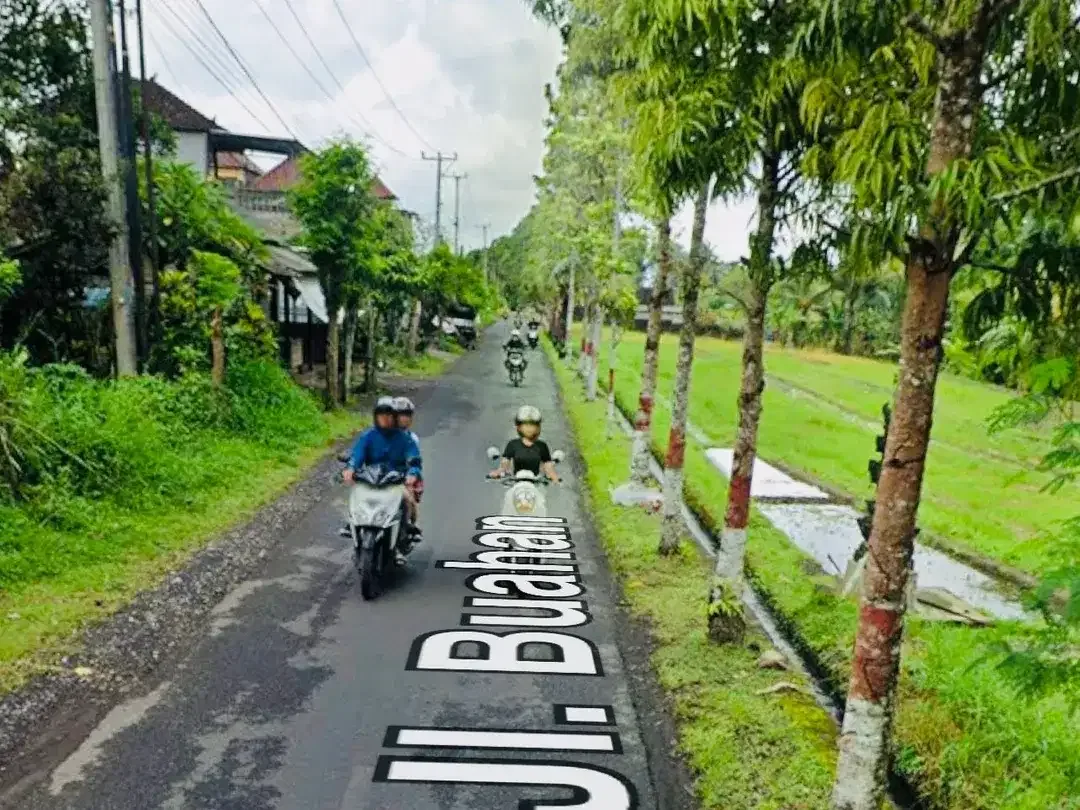 Tanah View Sawah Buahan Tabanan Bali - Image 2 of 3
