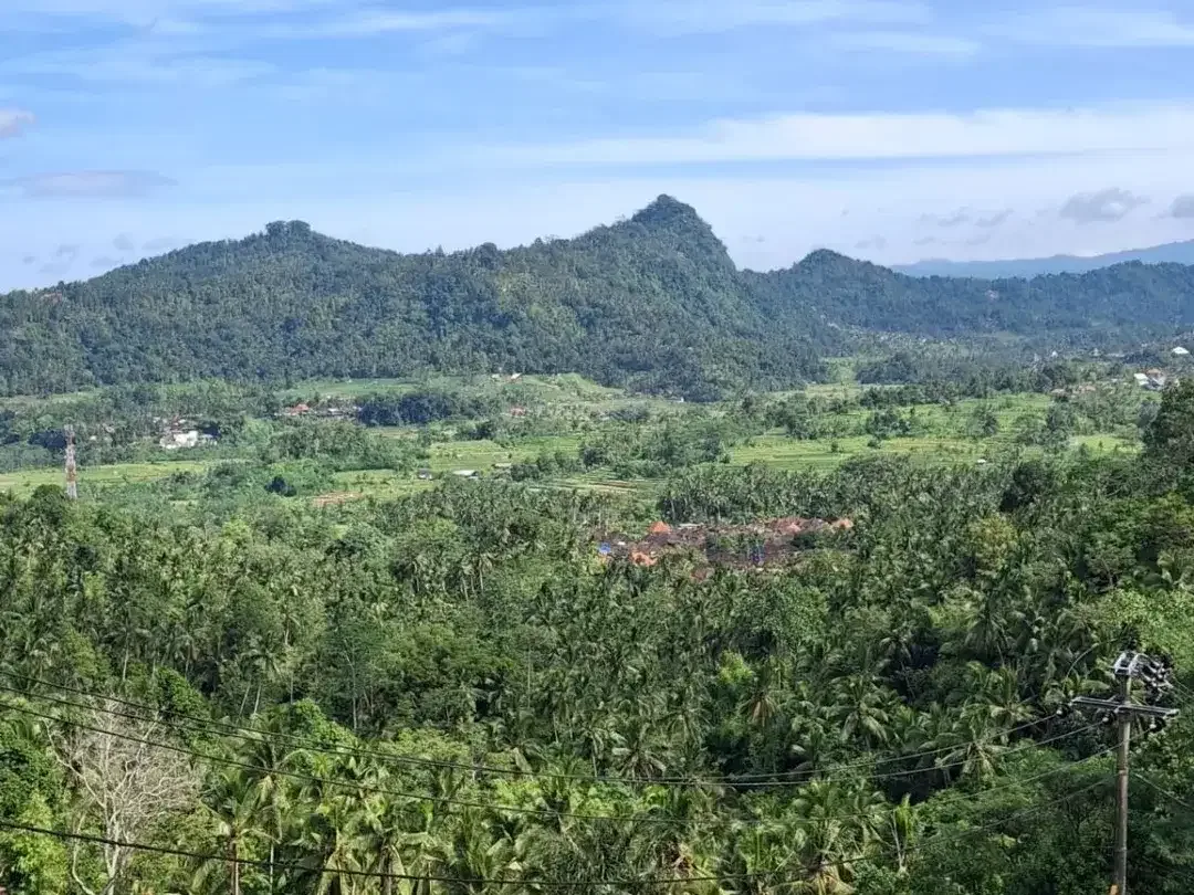 8.100 sqm Land for Sale in Sidemen, Karangasem - Image 3 of 6