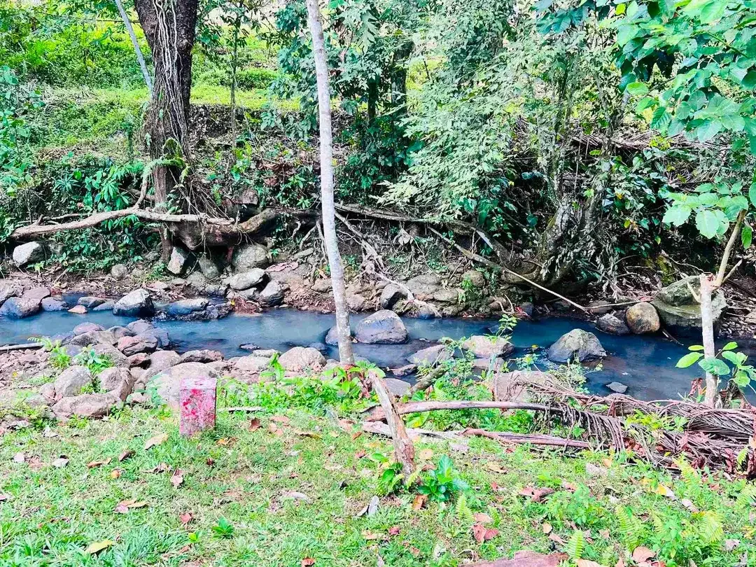 jual tanah Los sungai cantik di kawasan villa di desa manikyang tabanan bali. - Image 2 of 10