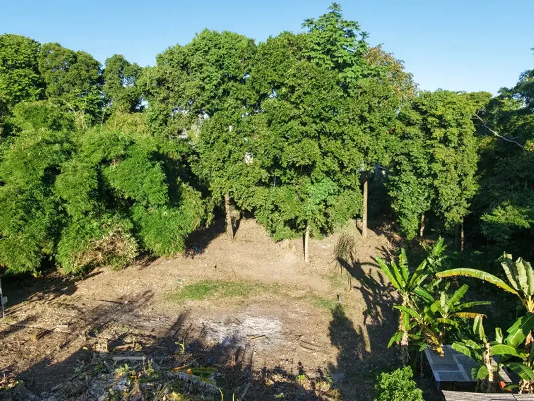 Leasehold - Riverside Land with Mature Trees & Ready Infrastructure in Canggu, Bali - Image 2 of 10