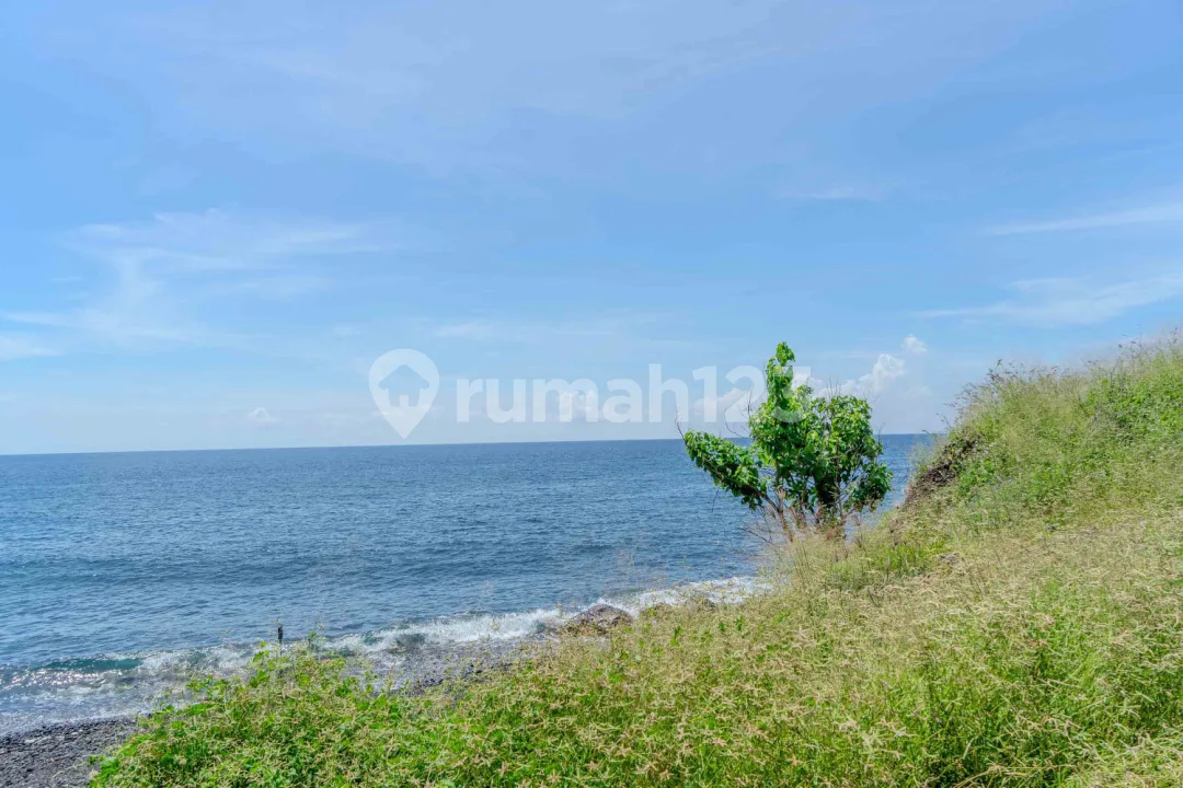 Beachfront Land Of This Scale And Frontage Is Extremely Rare - Image 4 of 4