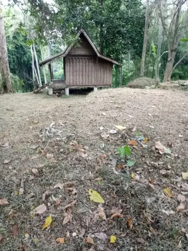3500 land for sale in the edge or river in munggu bali - Image 4 of 7