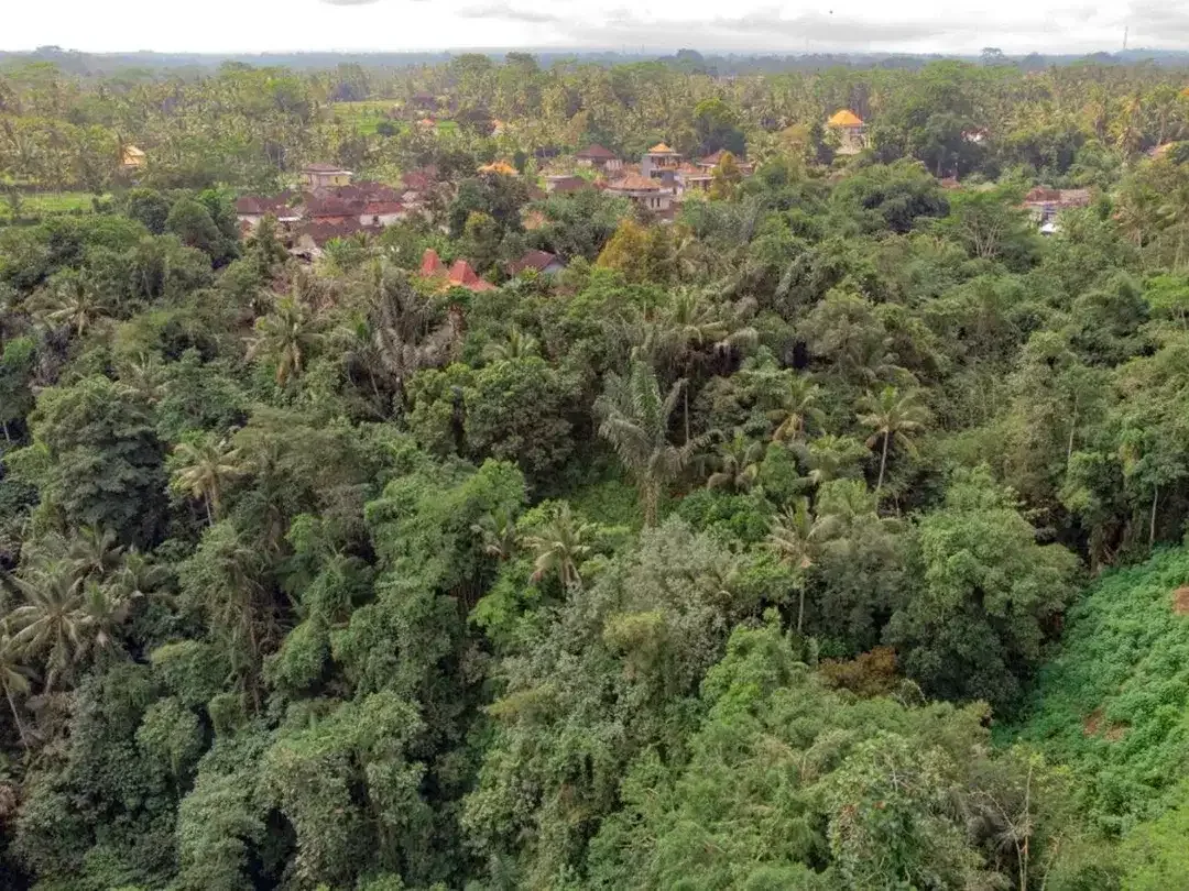 12,619 sq m of Freehold Land with Stunning River and Valley Views Located 7 Minutes from Ubud Palace - Image 6 of 6
