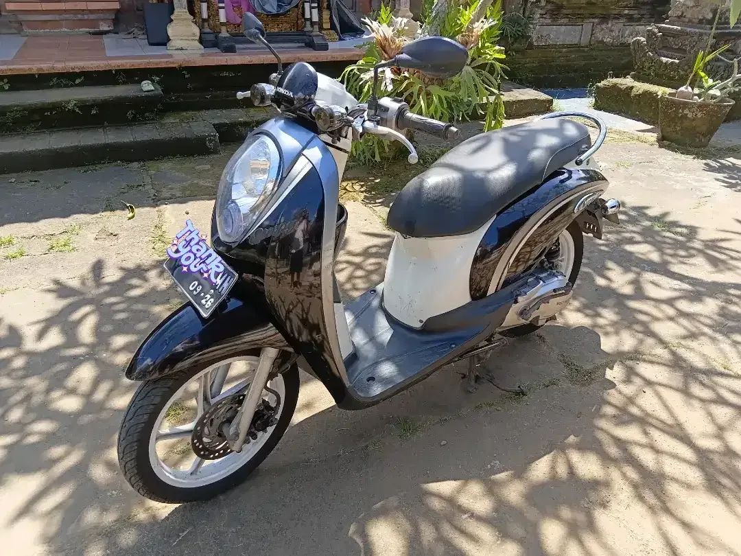 Scoopy 2011 (karbu) - Image 1 of 6