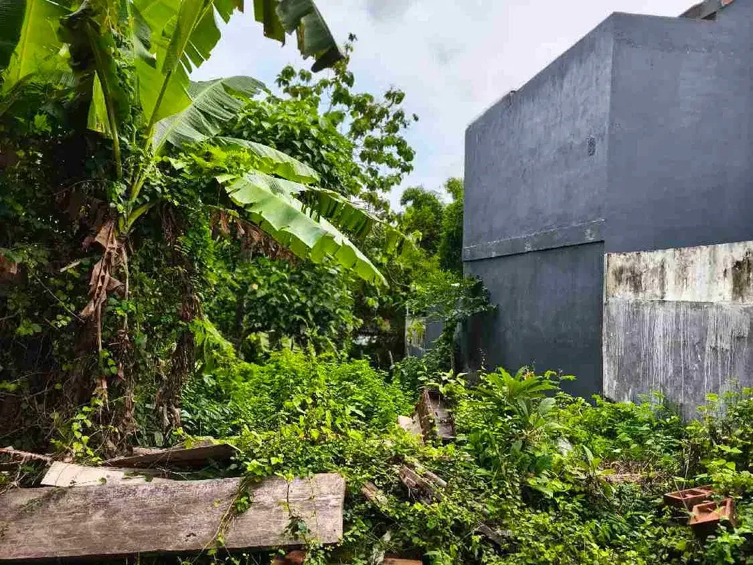 dijual tanah 4 are dekat Pepito taman griya Jimbaran Kuta Selatan Badung Bali - Image 3 of 7