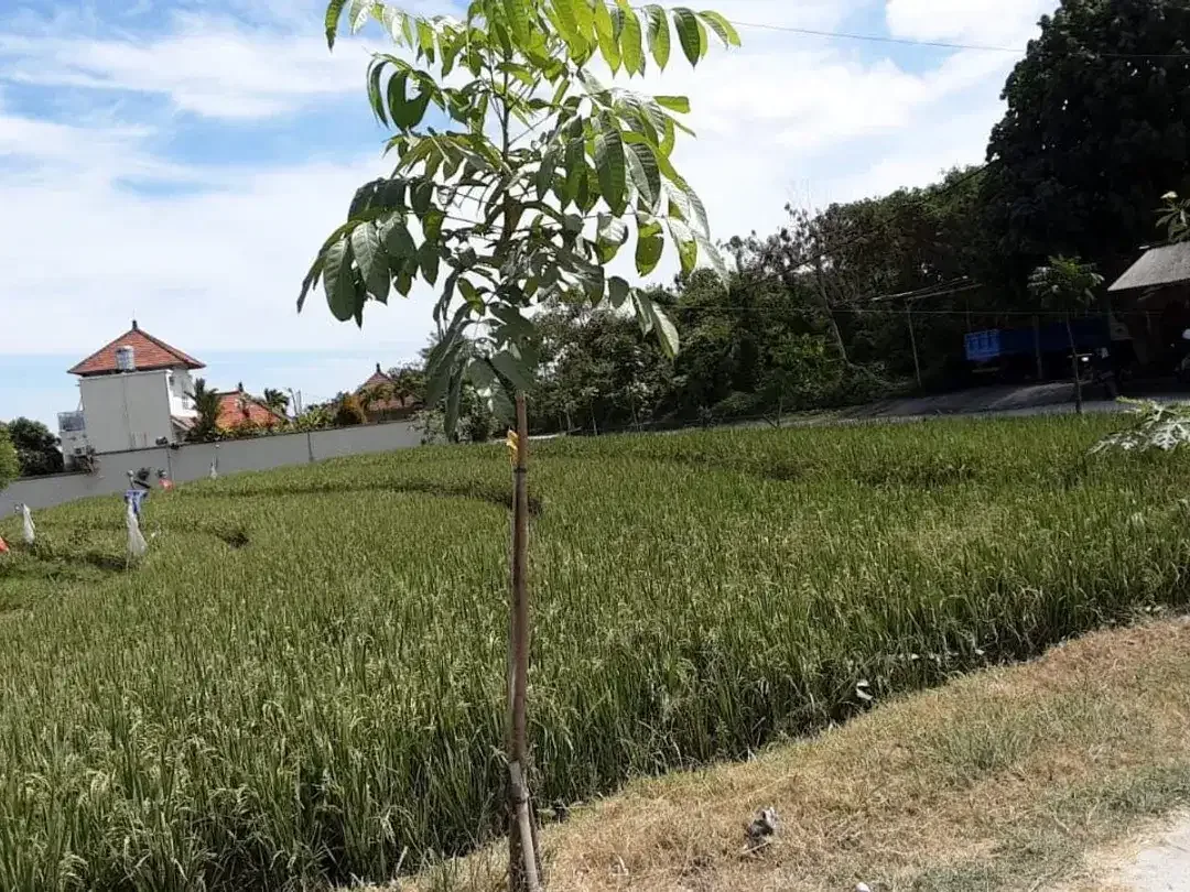 DIJUAL TANAH KAVLING MURAH DI LOKASI STRATEGIS KULIBUL TIBUBENENG - Image 7 of 10
