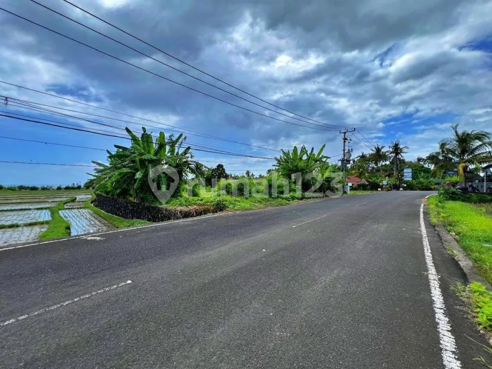 Jual Tanah Premium di Kebo Iwa, Denpasar Barat - Image 1 of 3