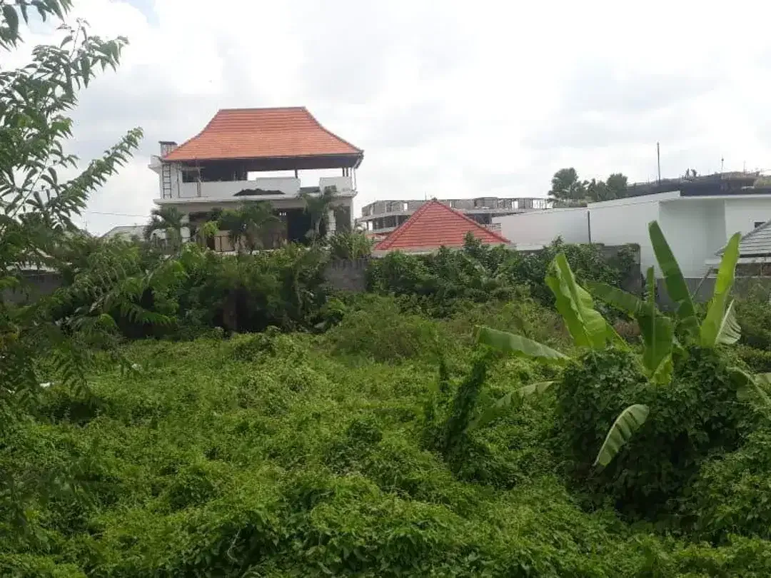 Tanah pantai berawa canggu - Image 5 of 8