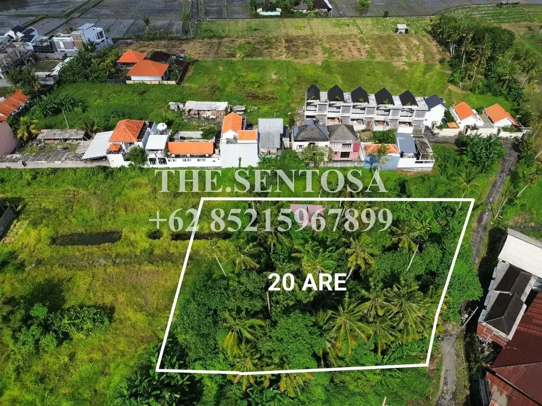 LAND FOR LEASE NYANYI NUANU LUNA BEACH CLUB - Image 10 of 10