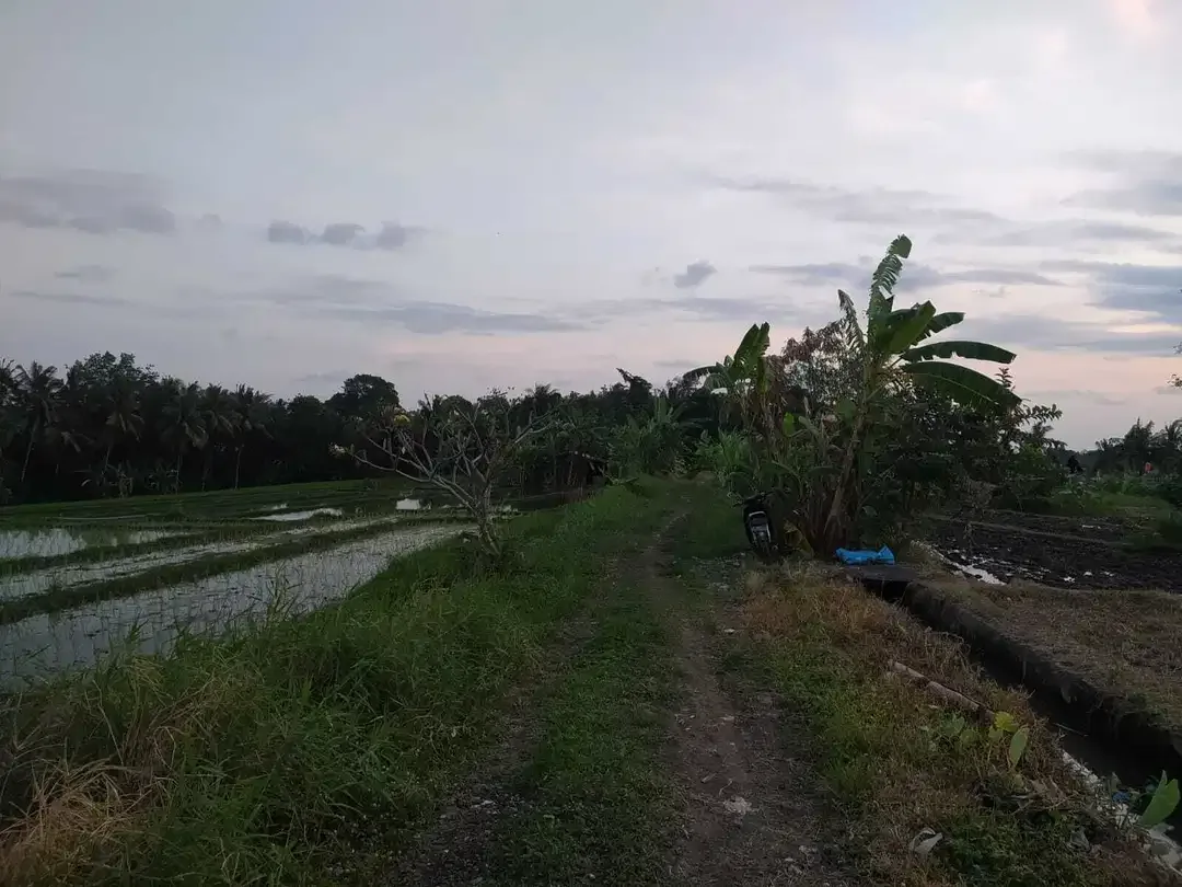 LAND FOR SALE NEAR TANAH LOT TABANAN - Image 6 of 10