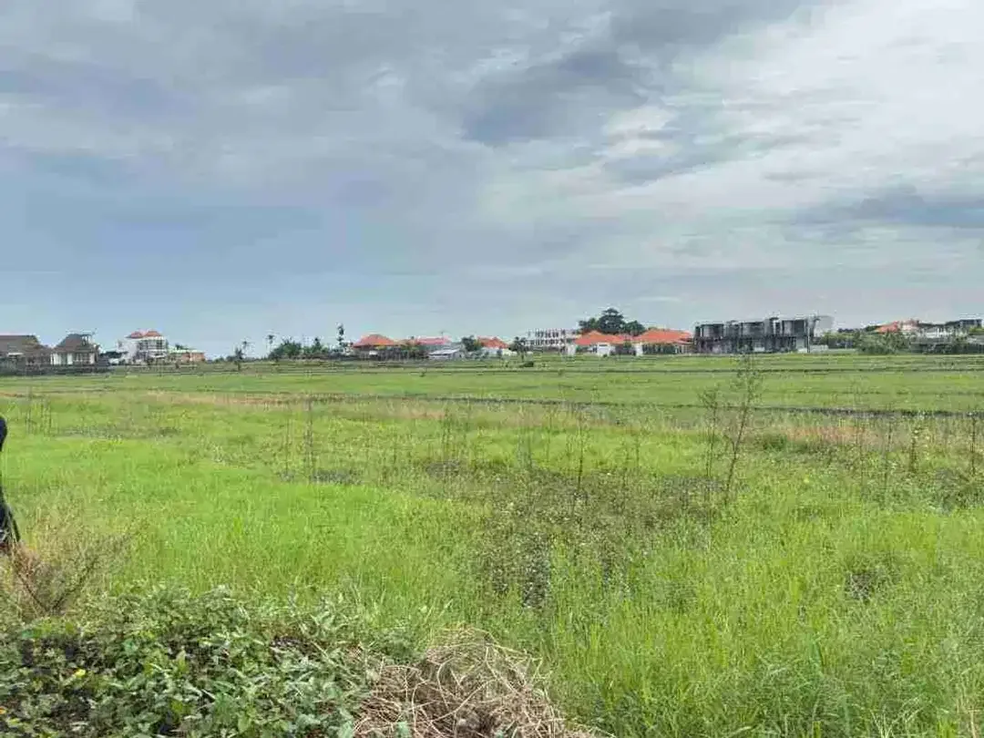 Tanah View Sawah dan Sunset Dekat Pantai Seseh Bali - Image 1 of 10