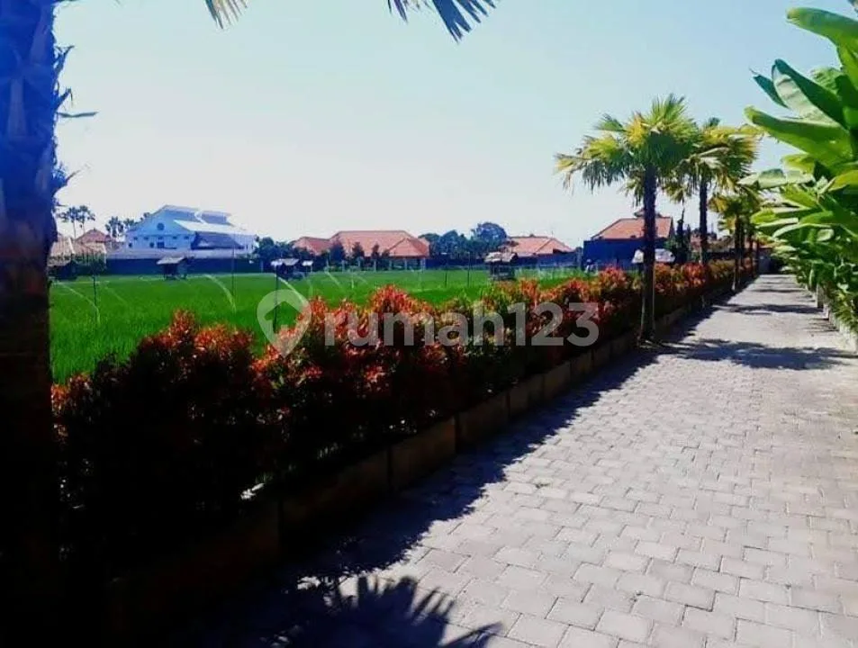 Villa 7 Unit Luas Strategis Ada Pool Lengkap Dkt Pantai di Canggu - Image 3 of 4