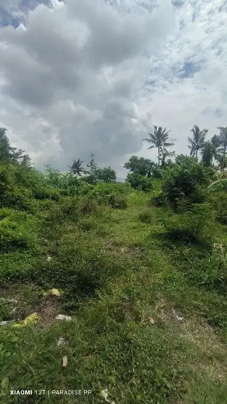 Tanah di Poros Jalan Karangasem Bali - Image 2 of 4
