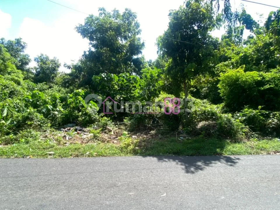 Jual Tanah View Laut Taman Paradise Ungasan LT 4280 M2 - Image 3 of 4