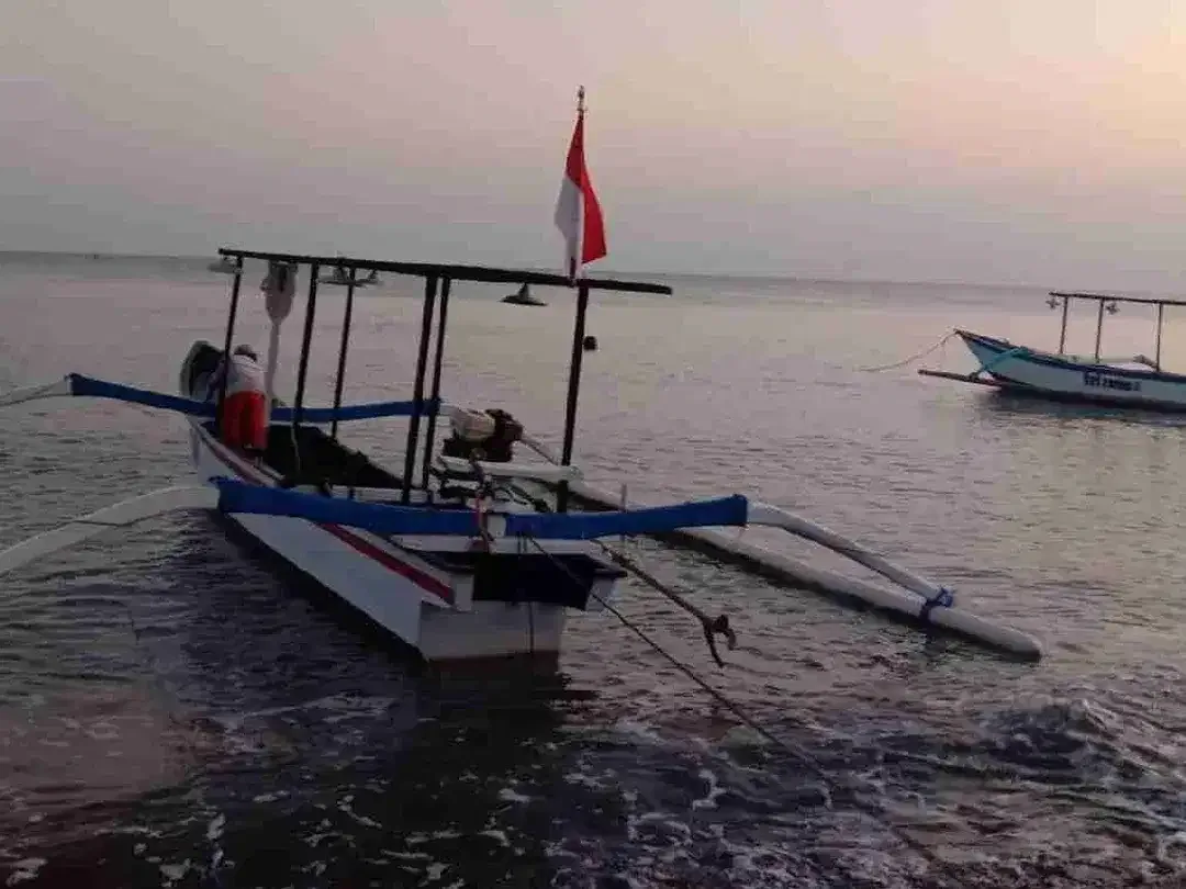 BEACHFRONT LAND for sale Jual tanah 53,92are di TEPI PANTAI Kalisada Buleleng Bali - Image 8 of 10