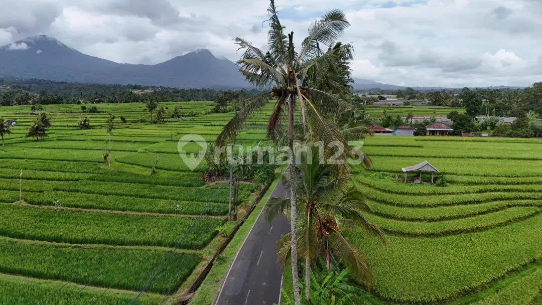 Jual Tanah Luasan Kecil View Sawah Cantik di Tabanan Bali - Image 1 of 4
