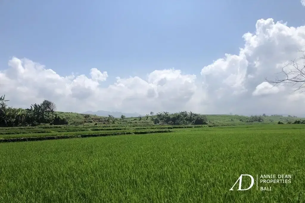 FREEHOLD BEACHFRONT LAND IN PEKUTATAN (3,000 M2) IN TOURISM ZONE - Image 10 of 10