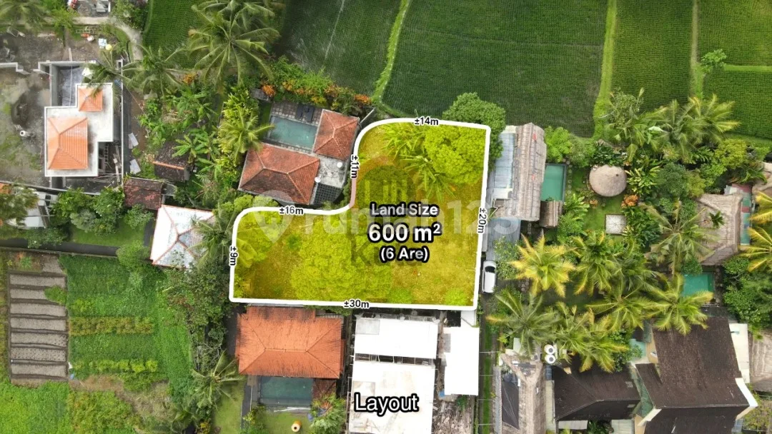 Tanah Murah Siap Bangun Di Ubud Dekat Ke Central Ubud Area Nyaman Cocok Untuk Villa Ada View Sawah - Image 3 of 4