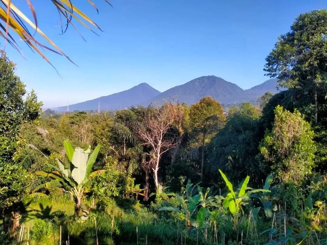 Plantation land with mountain and valley views in Baturiti Bali - Image 1 of 10