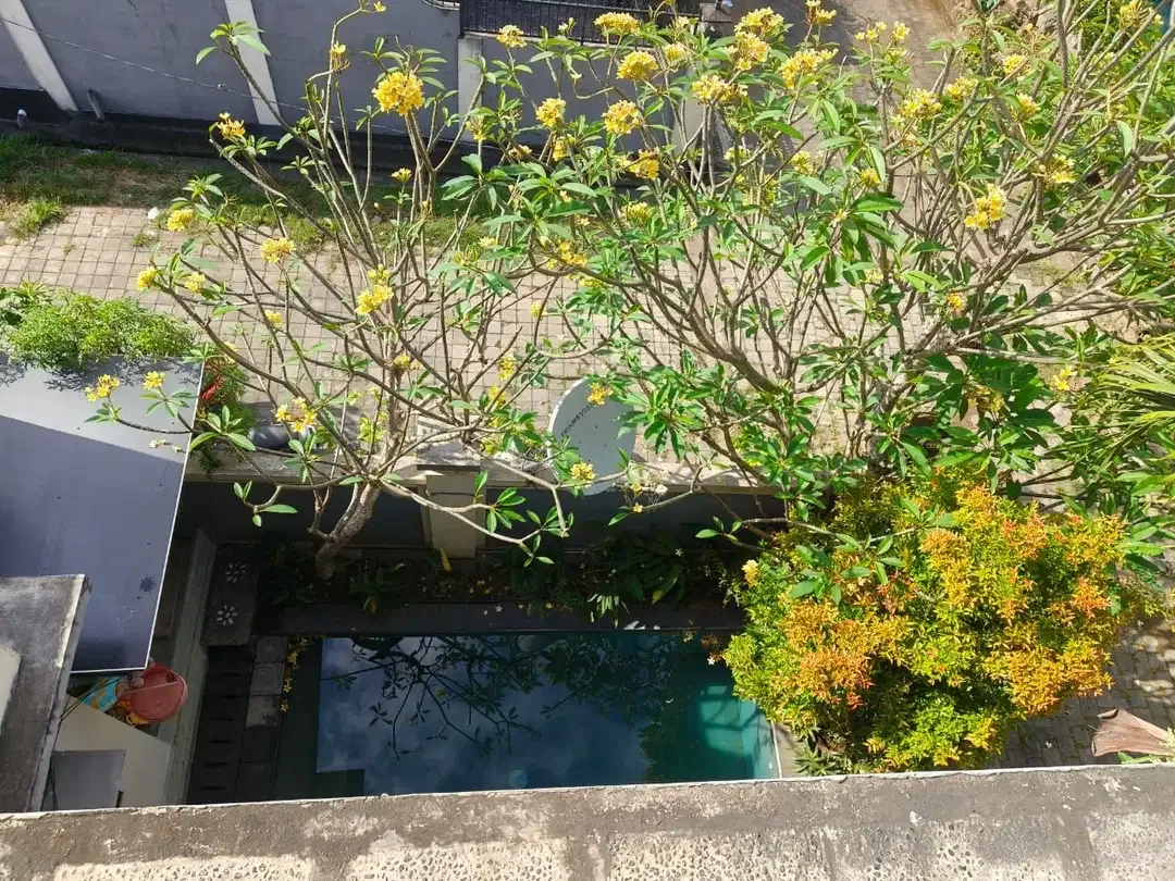 FOR RENT VILLA 3 BR KAWASAN VILLA DEKAT JLN UTAMA DI CANGGU - Image 5 of 9