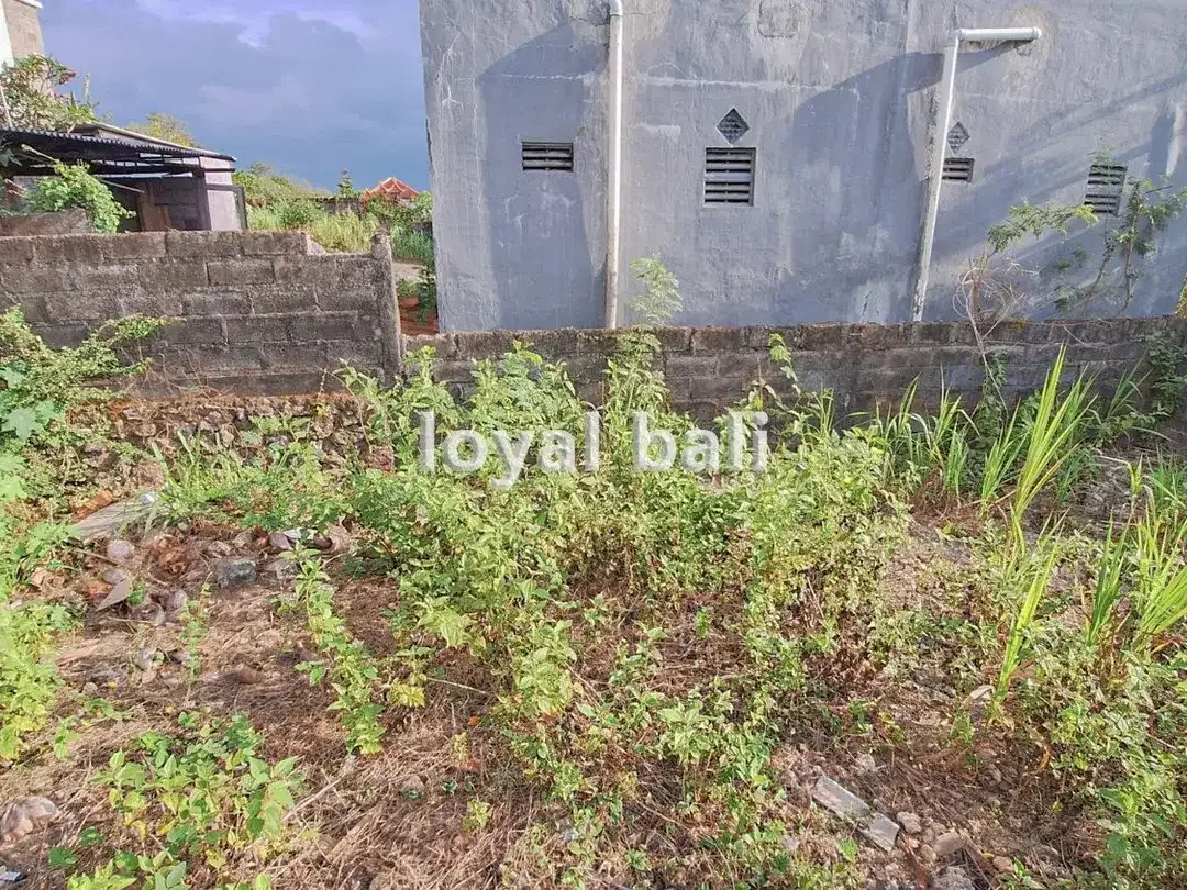 Ideal Land for Elite Kost Near Udayana Campus in Jimbaran, Bali - Image 4 of 5