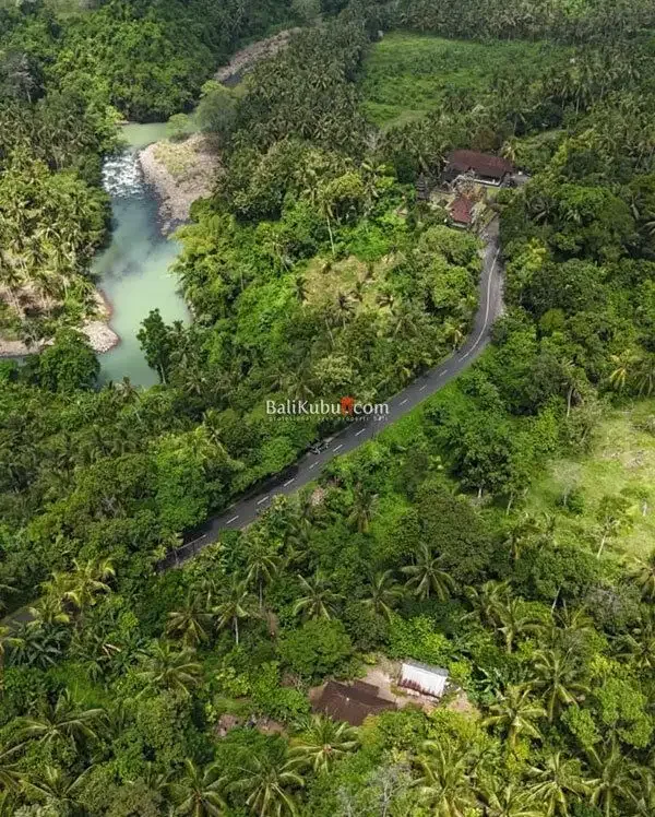 [AMS-015.KWN] Jual Tanah Kebun 1 Ha di Jl Surabrata Selemadeg Tabanan - Image 6 of 7