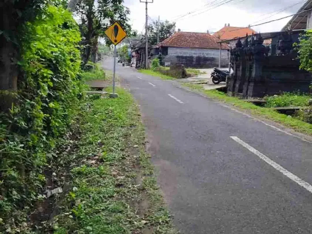 jual tanah murah ,di tabanan.pinggir jln aspal .luas 8500m2 (85 are). harga 50 jt/ are/100m2 - Image 7 of 7