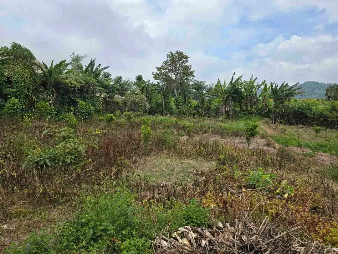 Dijual tanah kecil di.lingkungan villa kintamani bali - Image 3 of 10