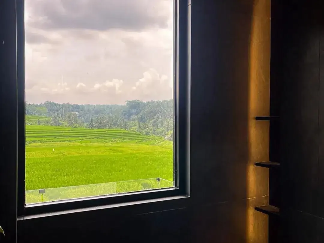 Luxury Rice Field View Villa - 3Br Ensuite - Private Pool - Image 5 of 10