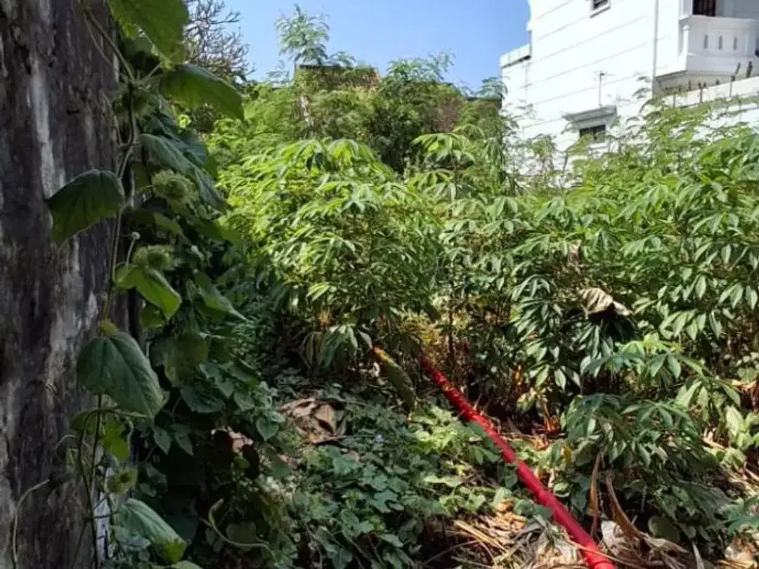 Tanah Padat 3,4 Are Siap Huni Dijual di Renon, Denpasar Selatan - Image 2 of 6