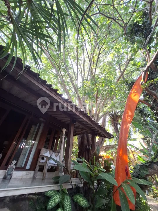 Villa Joglo Hitung Harga Tanah di Legian Seminyak - Image 3 of 4