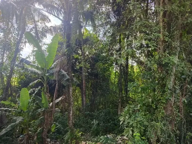 Dijual tanah murah los  sungai bebatuan dan view sawah ddi bali. - Image 7 of 10