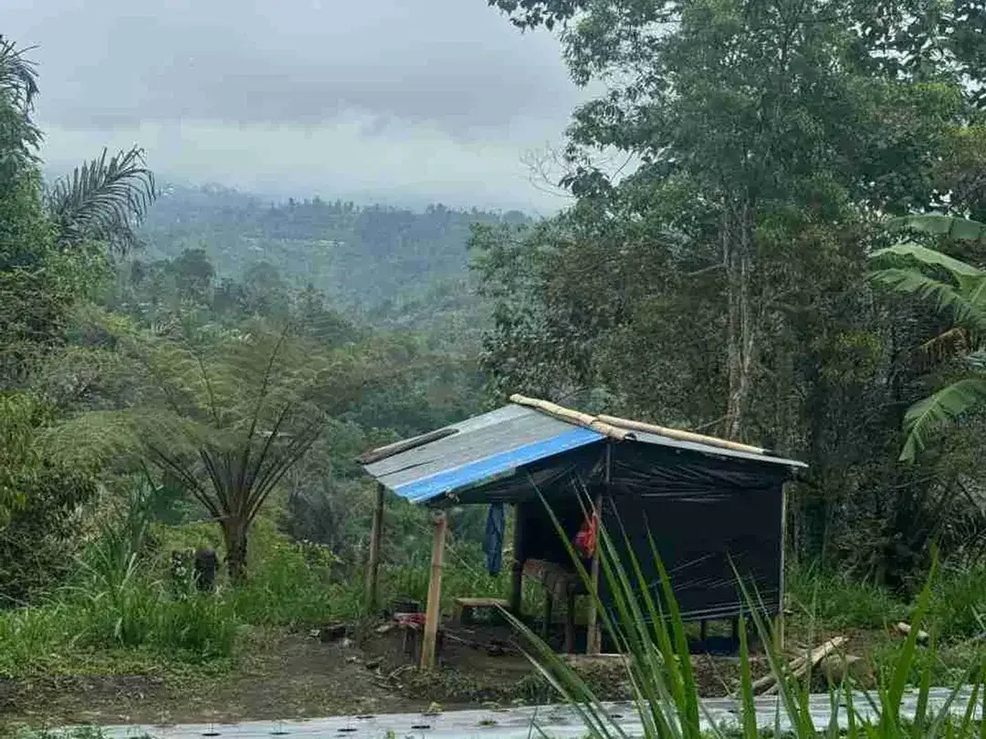 Lahan view indah plaga petang 6 are SHM - Image 4 of 7