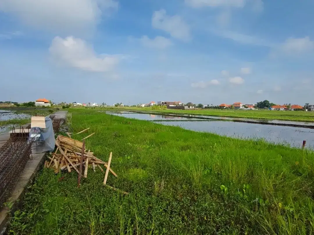 Pink Zone Land Close to Seseh Beach, 29 Year Leasehold Bali - Image 5 of 6