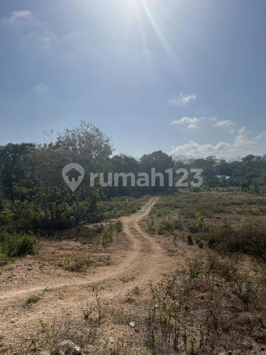 Tanah Luas Zona Kuning SHM Dekat Pantai Pandawa Kutuh Bali Selatan - Image 4 of 4