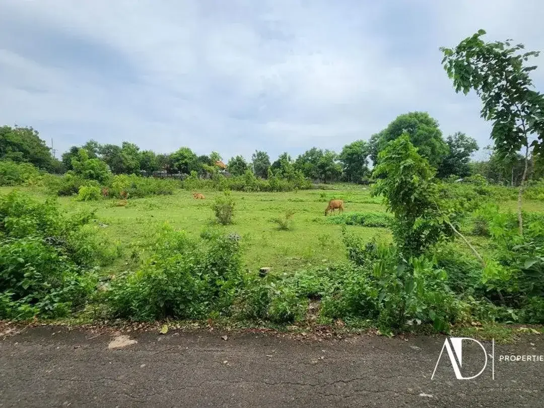 FREEHOLD | LAND IN TOURISM ZONE NEAR BALANGAN BEACH - Image 4 of 7