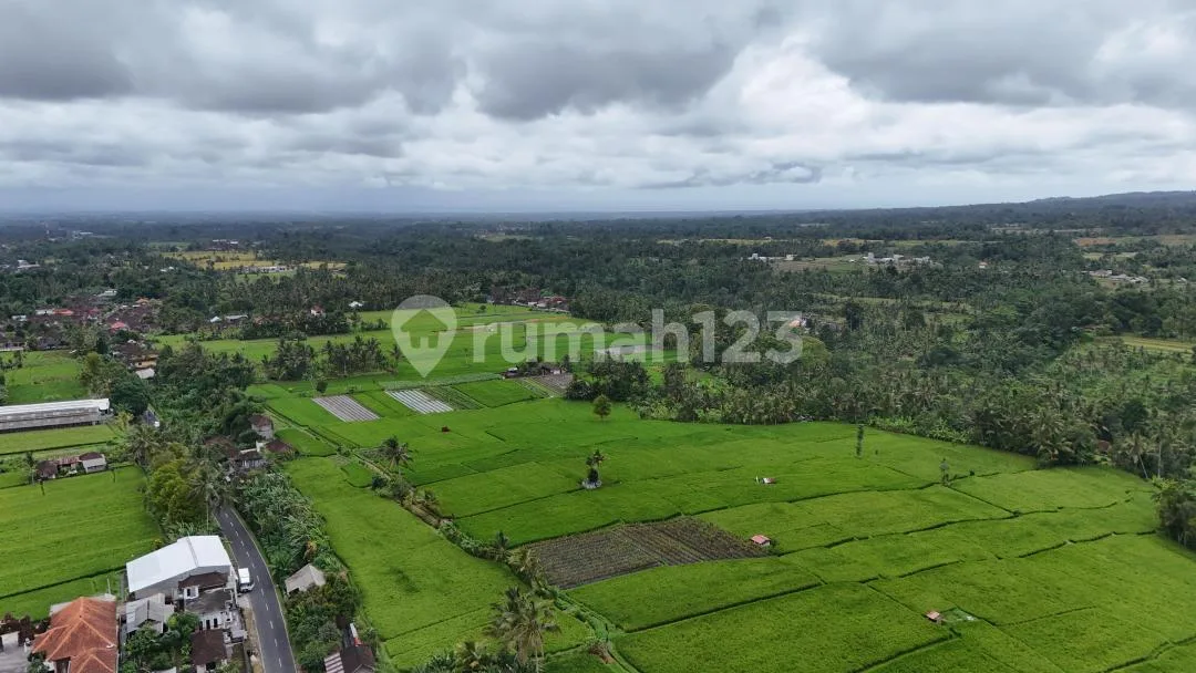 Jual Tanah Luasan Kecil View Sawah Cantik di Tabanan Bali - Image 4 of 4